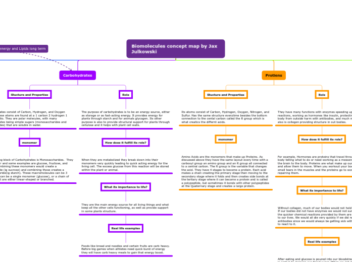 Biomolecules concept map by Jax Julkowski Mind Map